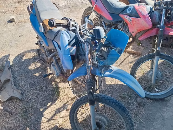 2006 Honda GENESIS