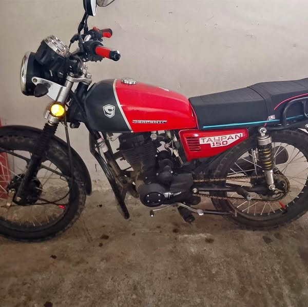 2024 Serpento Taypan 150