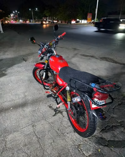 2024 Serpento Taypan